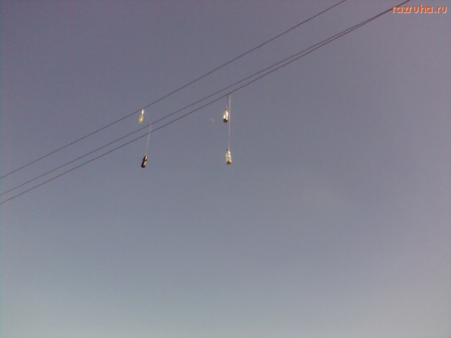 Смешное - Висит