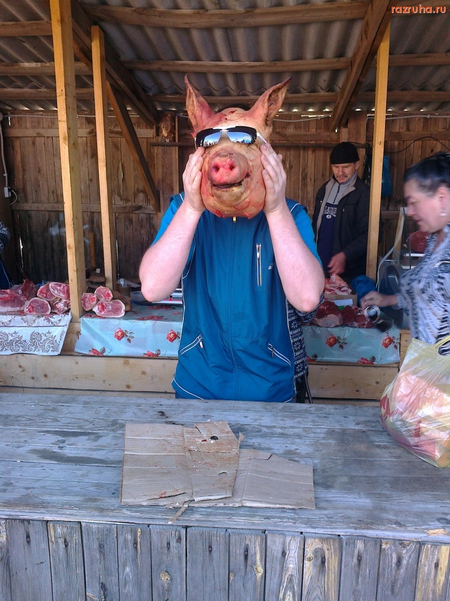 Смешное - Спартач прикалывается