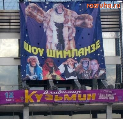Смешное - Реклама шоу шимпанзе от Кузьмина