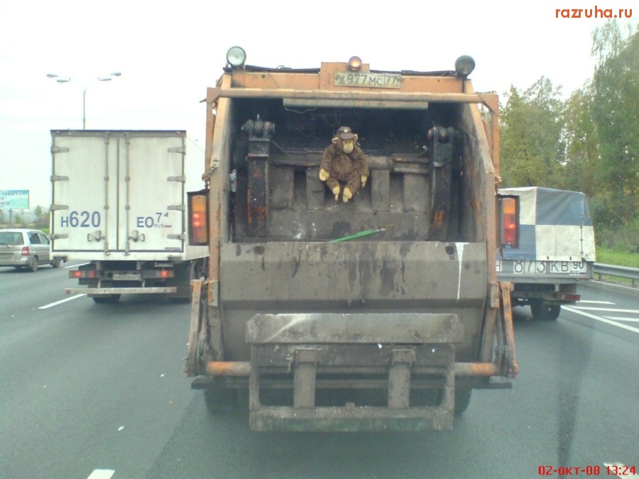 Смешное - Обезьянку на свалку!