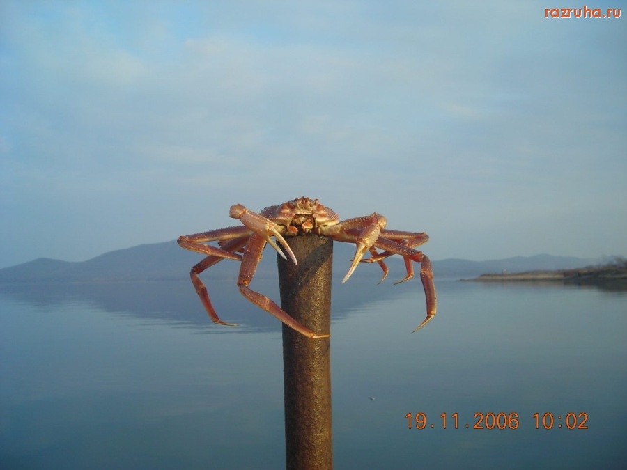 Смешное - А теперь немного красоты....