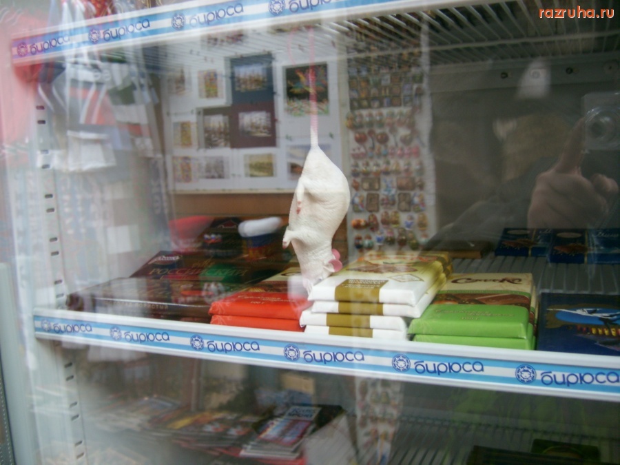 Смешное - Мышь повесился!