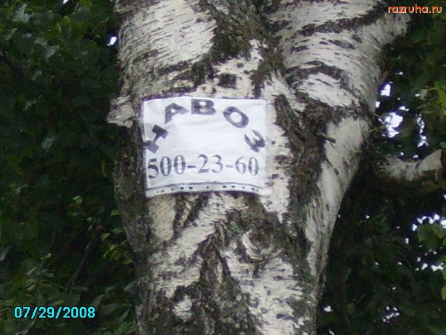 Смешное - Объява