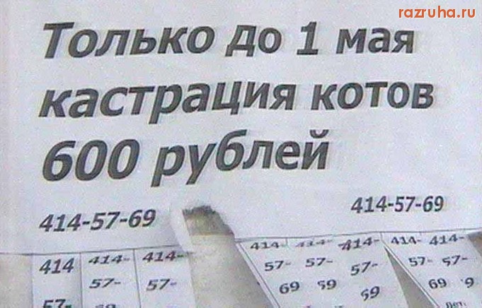 Смешное - Кастрация котов