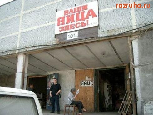 Смешное - Яйца