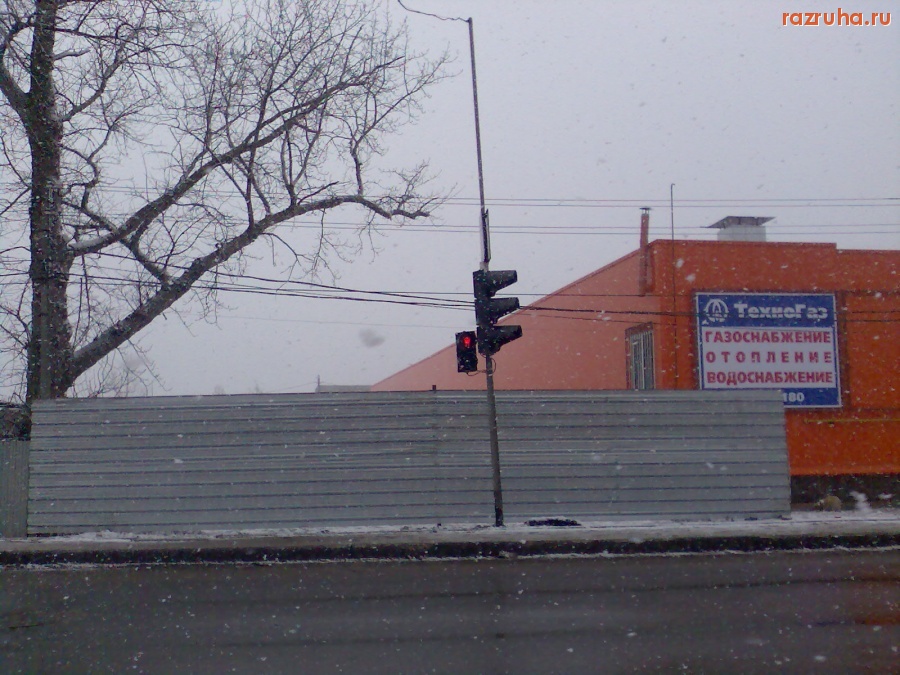 Отвратительное - Дохлая собака