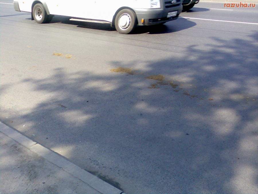 Отвратительное - Говно от лошади размазало