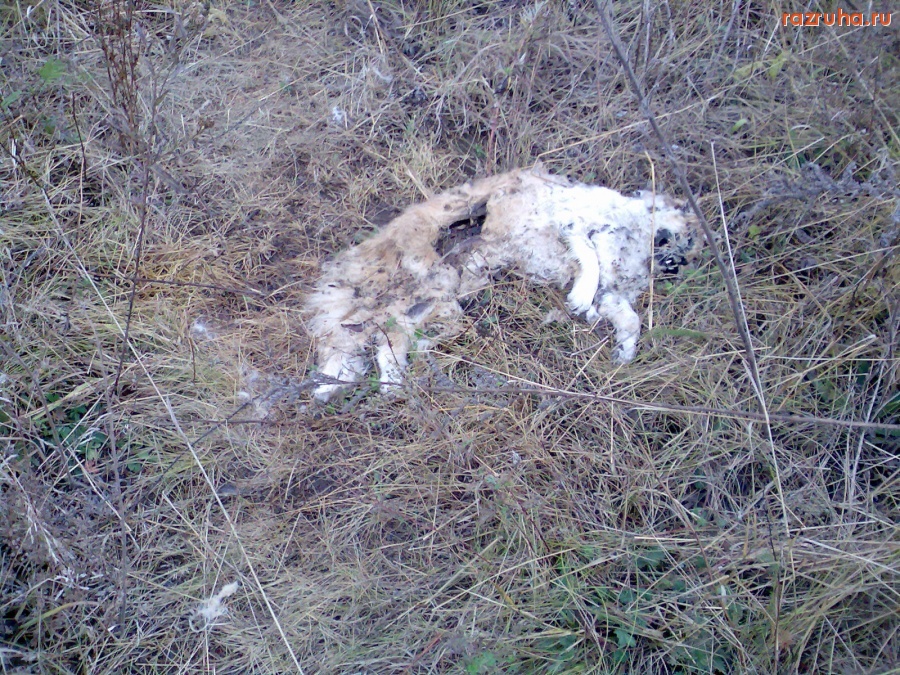 Отвратительное - Можно наступить