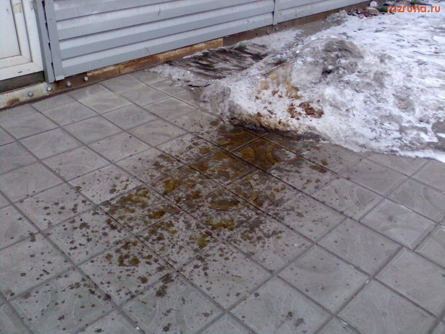 Отвратительное - Дрисня