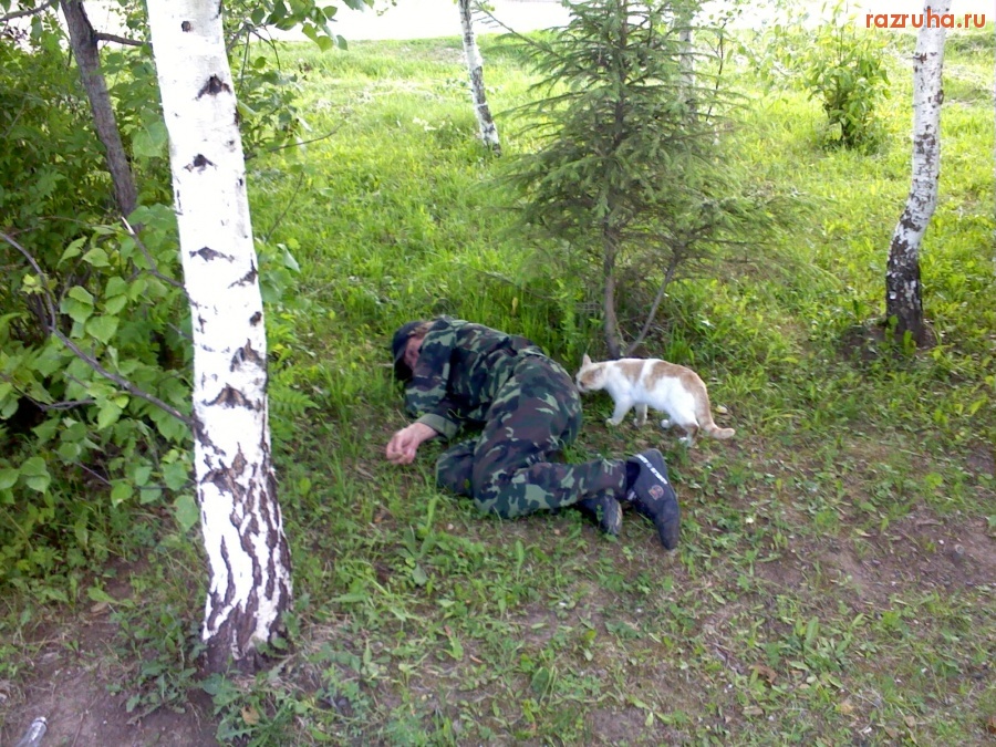 Отвратительное - Летом пить благодать где упал там и спать