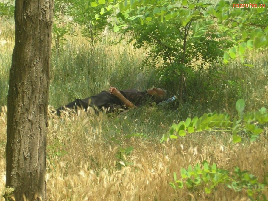 Отвратительное - мужик на отдыхе