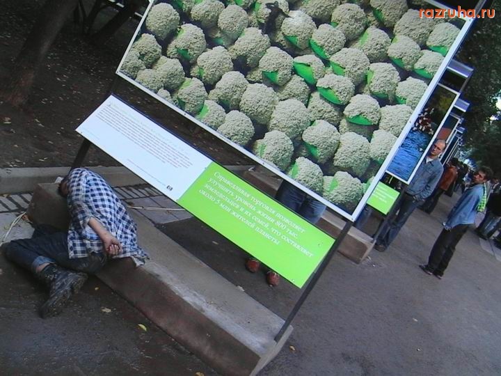 Отвратительное - Прилёг