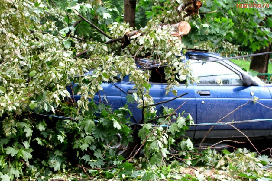 Погода - Ветерок