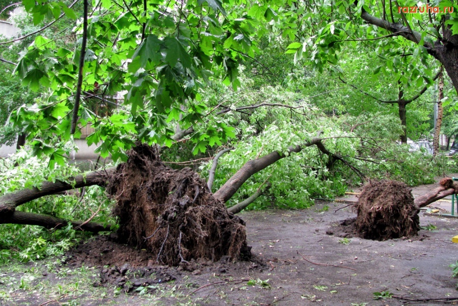 Погода - Ветерок