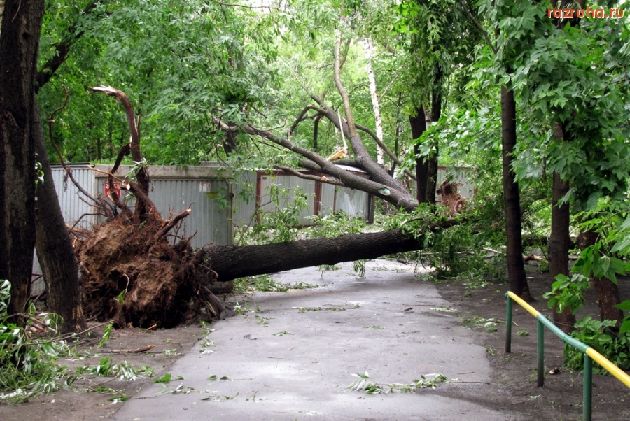 Погода - Ветерок