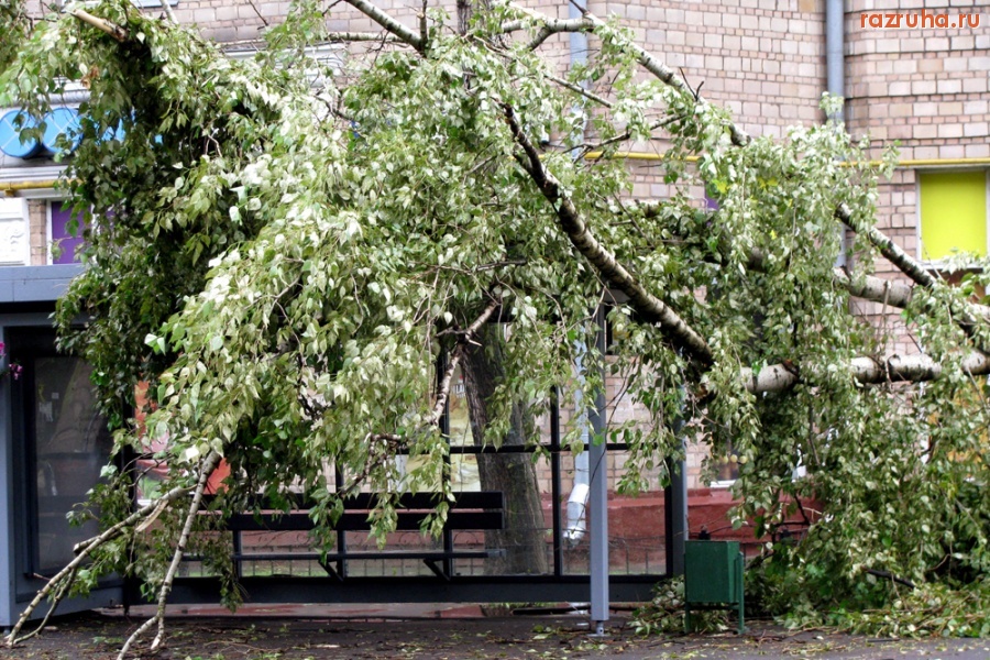 Погода - Ветерок