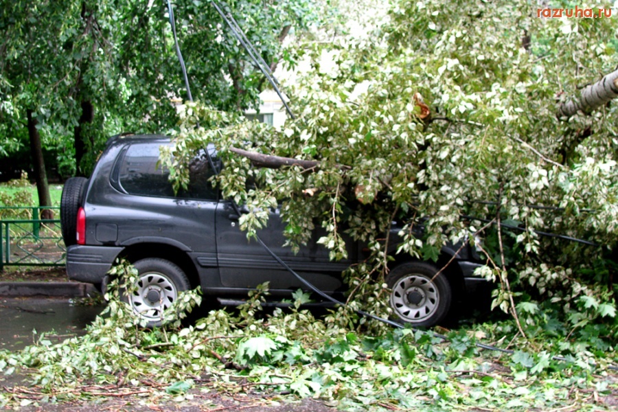 Погода - Ветерок