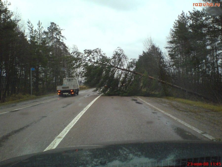 Погода - Последствие урагана!