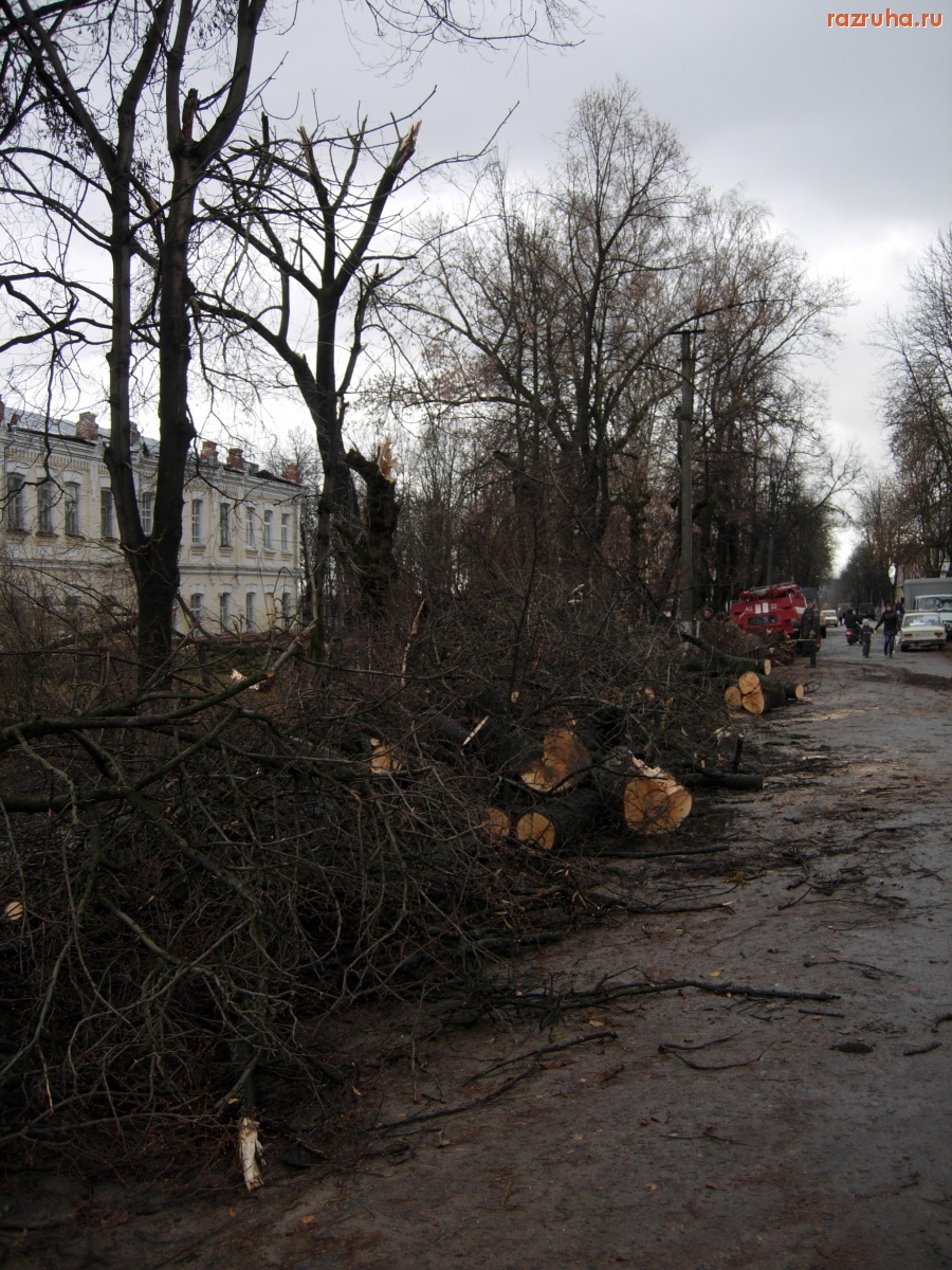 Погода - Ураган в Кролевце