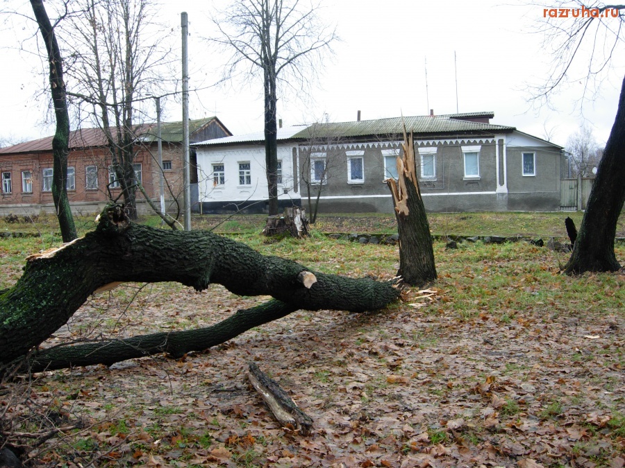 Погода - Ураган в Кролевце