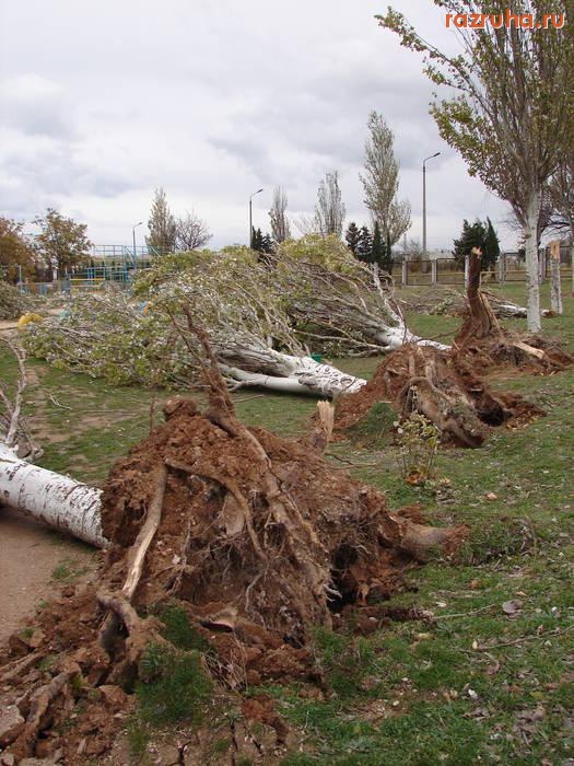 Погода - Тоже ураган натворил