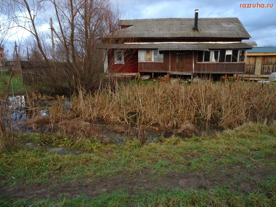 Россия - Пожарный пруд у моего дома