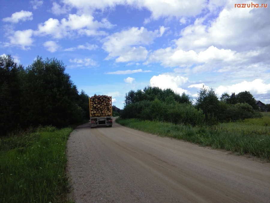 Россия - вывоз леса
