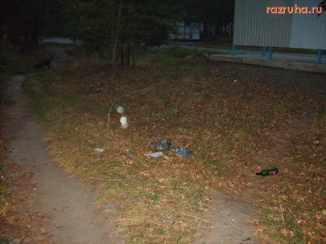 Карпинск - Мусор брошенный нечистоплотными гражданами