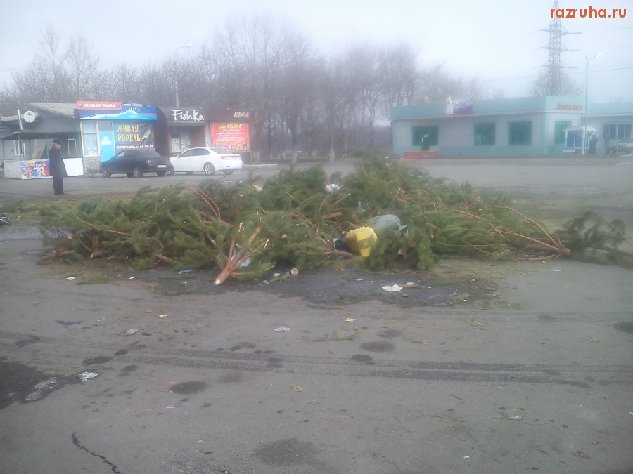 Владикавказ - Последствия елочных базаров