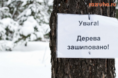 Украина - Берегите лес.