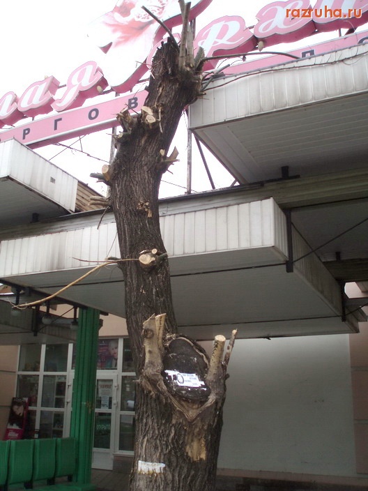 Кисловодск - Кронокастрация