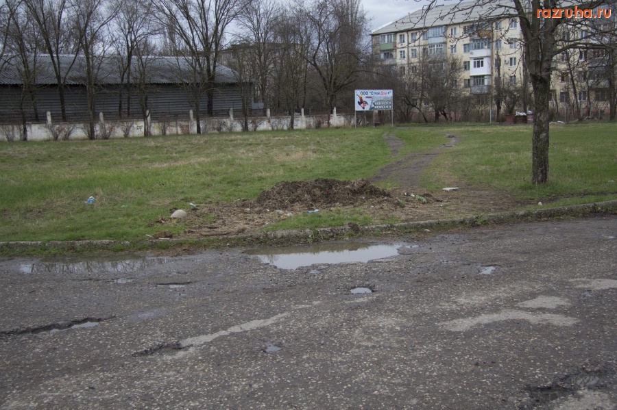 Минеральные Воды - газон вдоль федеральной трассы