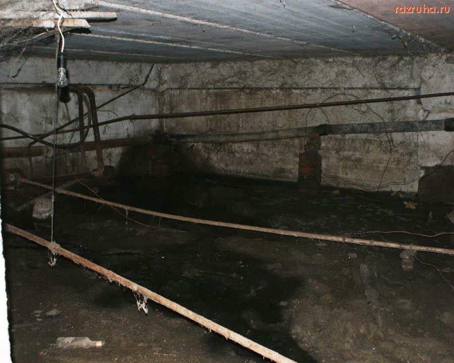 Рыбная Слобода - Болото