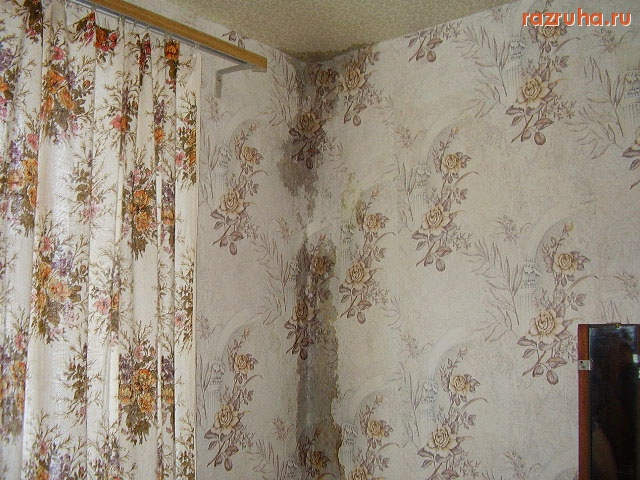 Рыбная Слобода - Капитальный ремонт 2010г.Рыбная слобода