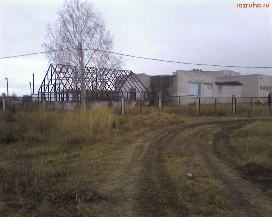 Камское Устье - школьная теплица