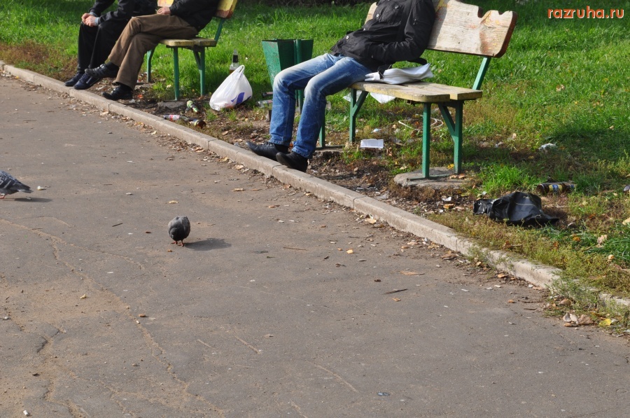 Москва - У пруда на Федеративном проспекте - 11 км до Кремля