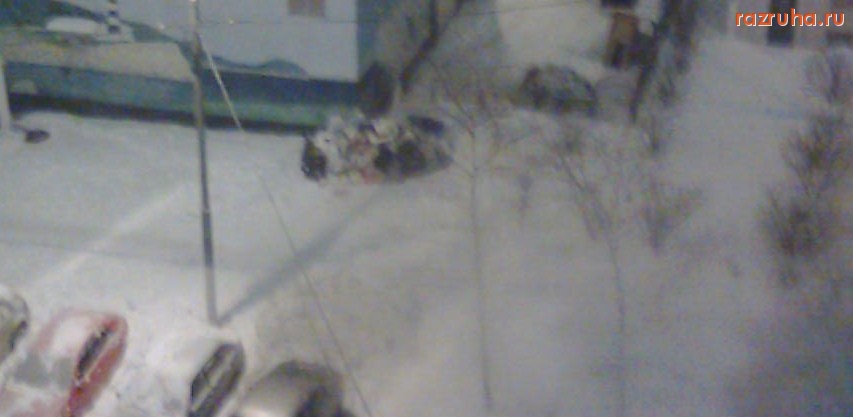 Москва - Уборка мусора