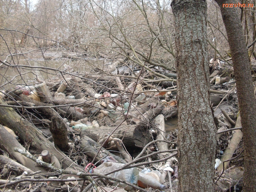 Москва - Измайловский парк