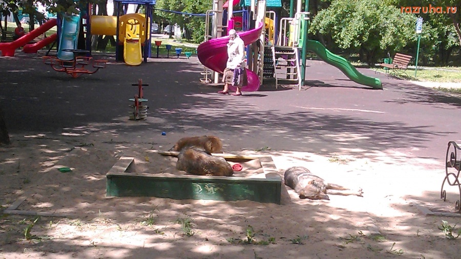 Москва - Песочница