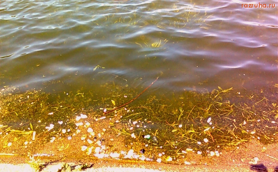 Москва - Ангарские пруды 2