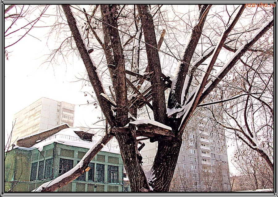 Москва - Скворешник для бомжа