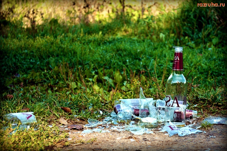 Москва - Отдых на природе