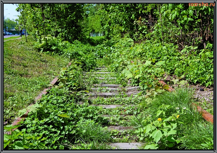 Москва - Дорога в никуда