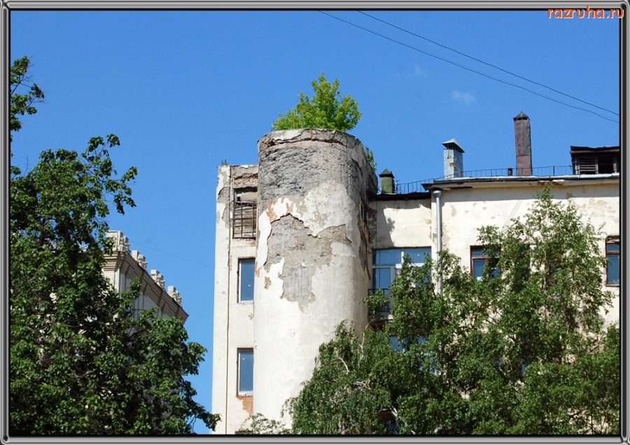 Москва - Кусты на крыше