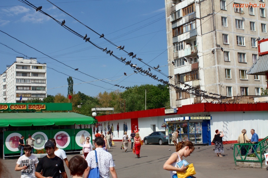 Москва - Голуби