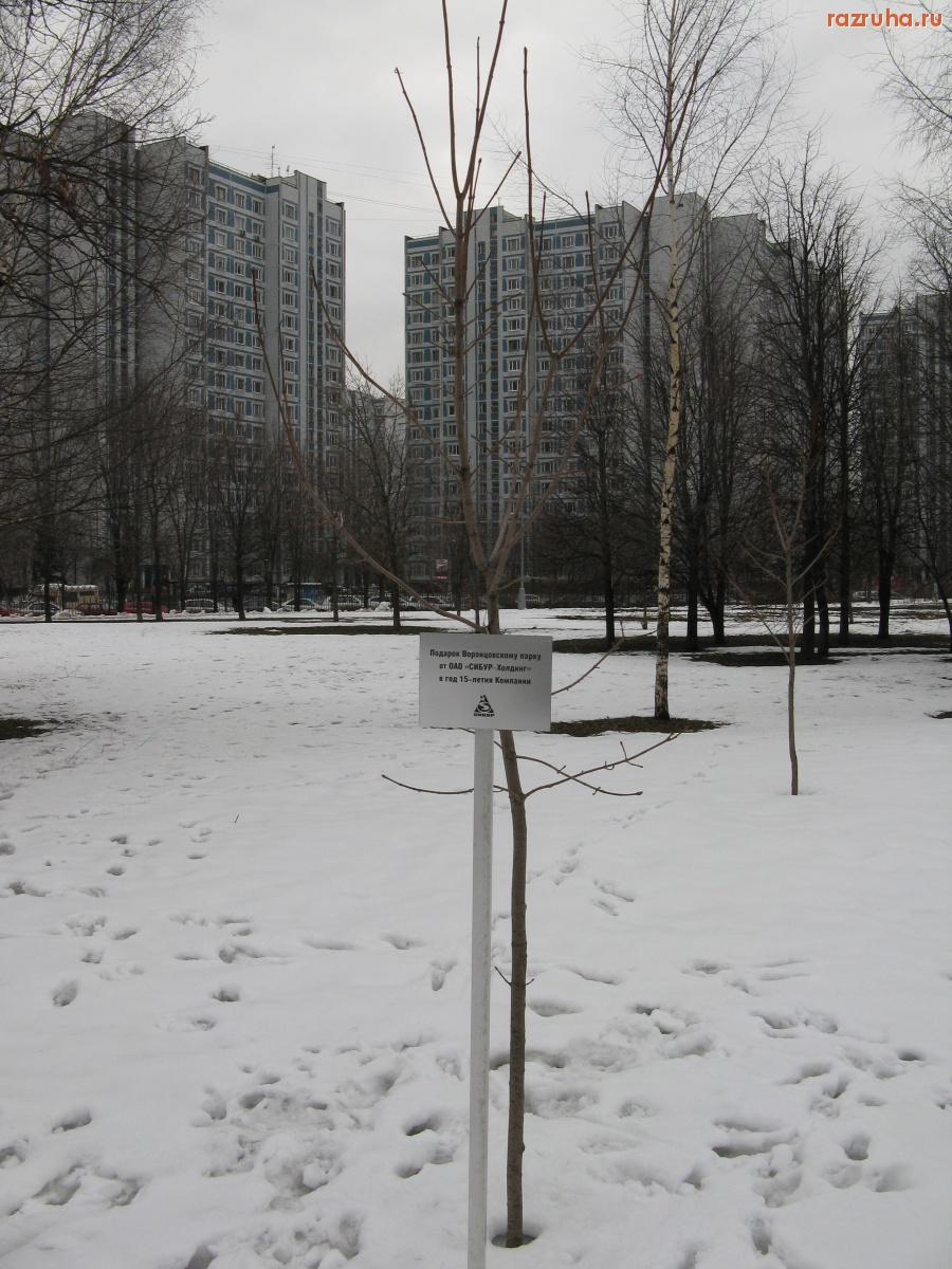 Москва - Царский подарок.