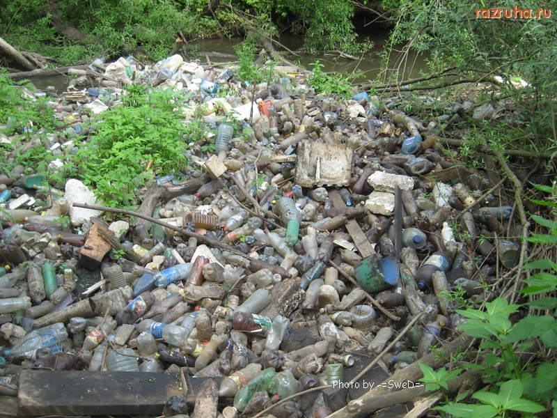 Москва - Ботанический сад.