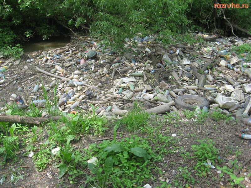 Москва - Ботанический сад.