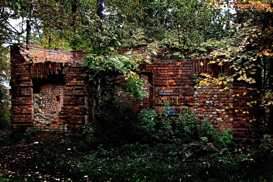 Москва - Парк Кузьминки