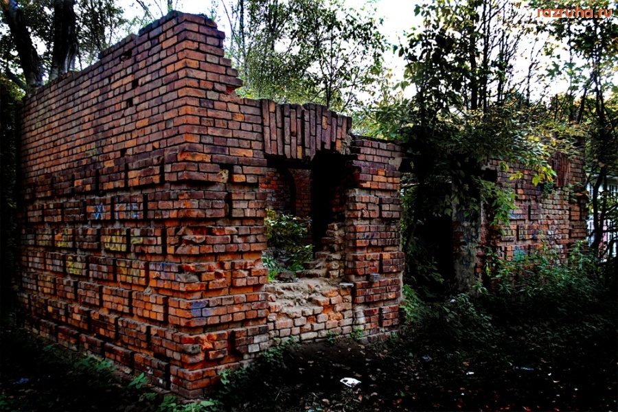 Москва - Парк Кузьминки